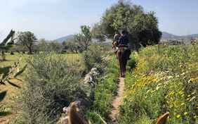 Traumhafte Ausritte: kurze Ausritte oder auch Ganztages-Ausflüge in die Berge auf trainierten Trail-Pferden
